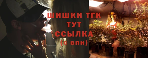 ГАЛЛЮЦИНОГЕННЫЕ ГРИБЫ Алексин