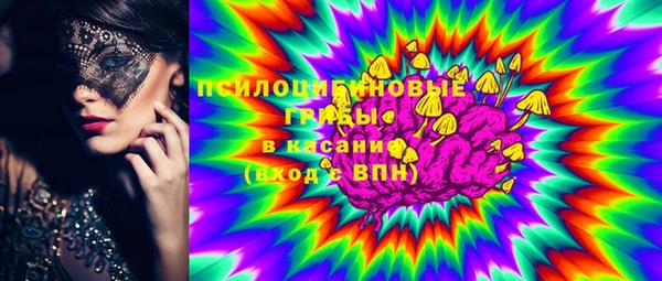 ГАЛЛЮЦИНОГЕННЫЕ ГРИБЫ Алексин